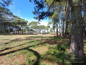 |3 LOTES DE 1000MTS²| |BARRIO RECIDENCIAL| |EL PINAR| |LA LUCILA|