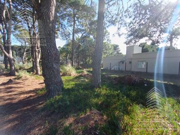 |3 LOTES DE 1000MTS²| |BARRIO RECIDENCIAL| |EL PINAR| |LA LUCILA|