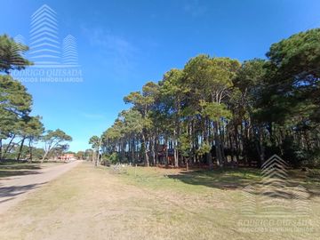 |3 LOTES DE 1000MTS²| |BARRIO RECIDENCIAL| |EL PINAR| |LA LUCILA|
