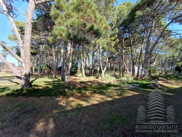 |3 LOTES DE 1000MTS²| |BARRIO RECIDENCIAL| |EL PINAR| |LA LUCILA|