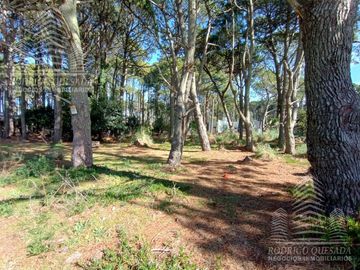 |3 LOTES DE 1000MTS²| |BARRIO RECIDENCIAL| |EL PINAR| |LA LUCILA|