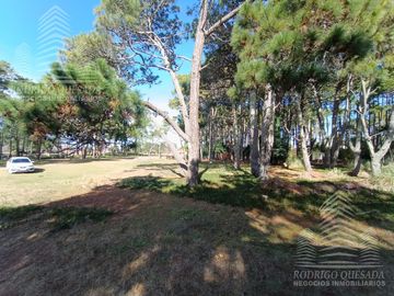 |3 LOTES DE 1000MTS²| |BARRIO RECIDENCIAL| |EL PINAR| |LA LUCILA|