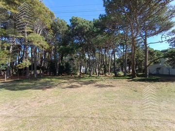|3 LOTES DE 1000MTS²| |BARRIO RECIDENCIAL| |EL PINAR| |LA LUCILA|