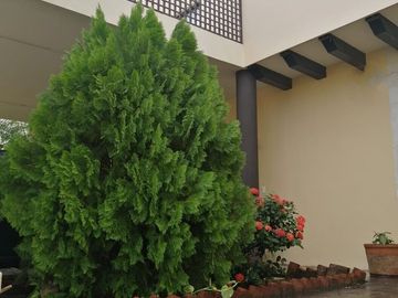 Casa en venta, Privada Santa Cruz Conkal, Mérida, Yucatán