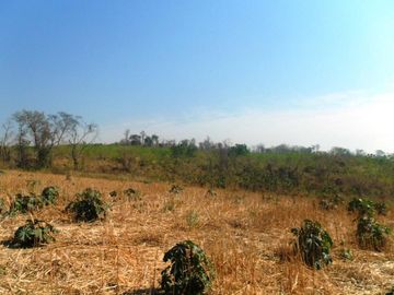 Campo en Venta - Yuto, Jujuy