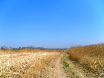 Campo en Venta - Yuto, Jujuy
