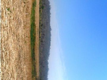 Campo en Venta - Yuto, Jujuy