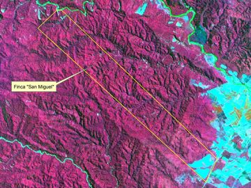 Campo en Venta - Yuto, Jujuy