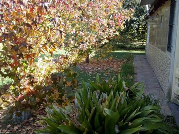 Casa en San Vicente