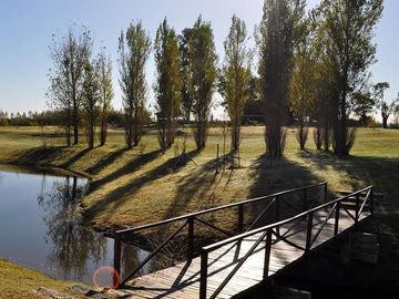Chacras de la Reserva - Casa de 4 dormitorios con Hermoso Parque (SE ALQUILA POR UN AÑO AMOBLADA)