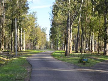 LOTES en Campo Timbo BARRIO CERRADO