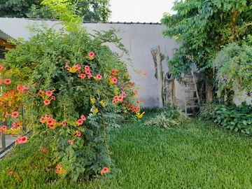Boulogne - Luminoso PH Planta Baja 3 amb con amplio jardín!!