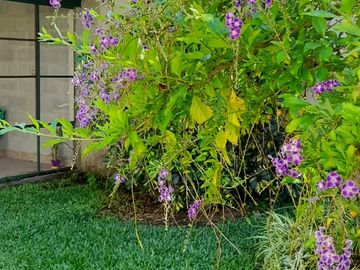 Boulogne - Luminoso PH Planta Baja 3 amb con amplio jardín!!