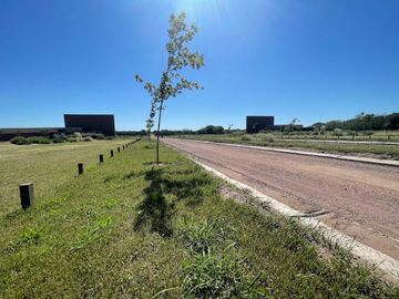 SINSACATE - URBANIZACIÓN VISTA REAL - LOTES DDE 800 M2 - SERVICIOS SUBTERRÁNEOS - ENTREGA DEL 50% Y CUOTAS