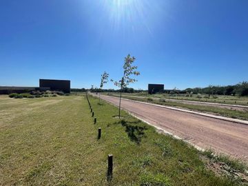 SINSACATE - URBANIZACIÓN VISTA REAL - LOTES DDE 800 M2 - SERVICIOS SUBTERRÁNEOS - ENTREGA DEL 50% Y CUOTAS