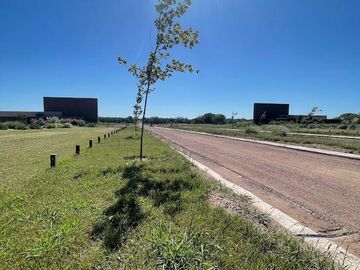 SINSACATE - URBANIZACIÓN VISTA REAL - LOTES DDE 800 M2 - SERVICIOS SUBTERRÁNEOS - ENTREGA DEL 50% Y CUOTAS