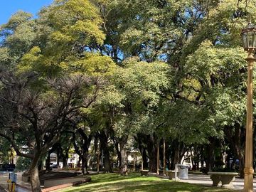 Esplendido   220 m2 en venta Edificio Kavanagh