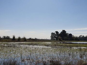 Lote venta Estancia Villa Maria frente a 
