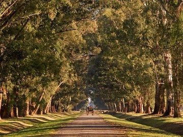 Lote venta Estancia Villa Maria frente a 