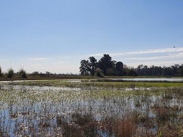 Lote venta Estancia Villa Maria frente a 