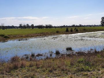 Lote venta Estancia Villa Maria frente a 