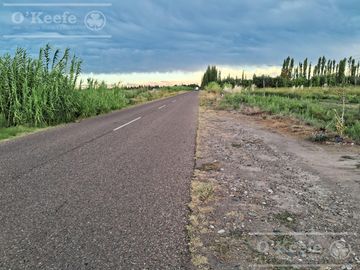 Oportunidad  Venta de 2 Fincas aledañas en Cañada Seca , San Rafael , Mendoza. Frutihorticola, Forrajes, Turismo,