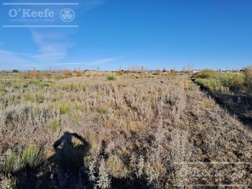Oportunidad  Venta de 2 Fincas aledañas en Cañada Seca , San Rafael , Mendoza. Frutihorticola, Forrajes, Turismo,