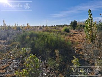 Oportunidad  Venta de 2 Fincas aledañas en Cañada Seca , San Rafael , Mendoza. Frutihorticola, Forrajes, Turismo,