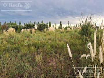 Oportunidad  Venta de 2 Fincas aledañas en Cañada Seca , San Rafael , Mendoza. Frutihorticola, Forrajes, Turismo,