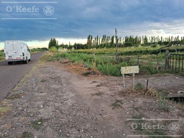 Oportunidad  Venta de 2 Fincas aledañas en Cañada Seca , San Rafael , Mendoza. Frutihorticola, Forrajes, Turismo,