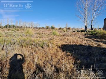 Oportunidad  Venta de 2 Fincas aledañas en Cañada Seca , San Rafael , Mendoza. Frutihorticola, Forrajes, Turismo,