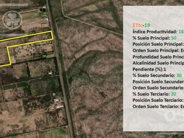 Oportunidad  Venta de 2 Fincas aledañas en Cañada Seca , San Rafael , Mendoza. Frutihorticola, Forrajes, Turismo,