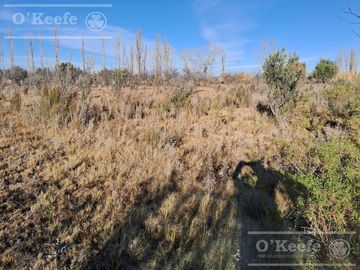 Oportunidad  Venta de 2 Fincas aledañas en Cañada Seca , San Rafael , Mendoza. Frutihorticola, Forrajes, Turismo,