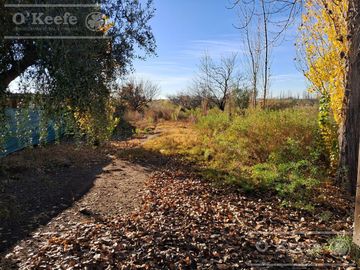 Oportunidad  Venta de 2 Fincas aledañas en Cañada Seca , San Rafael , Mendoza. Frutihorticola, Forrajes, Turismo,