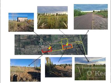 Oportunidad  Venta de 2 Fincas aledañas en Cañada Seca , San Rafael , Mendoza. Frutihorticola, Forrajes, Turismo,