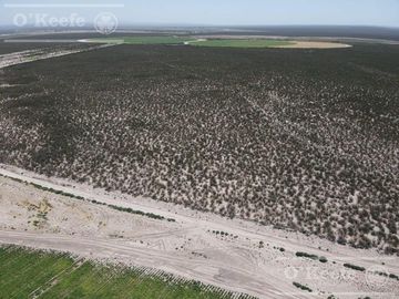 Campo en venta 1400 has en fracciones Zapata, Mendoza. Apto Cultivos Extensivos !!!