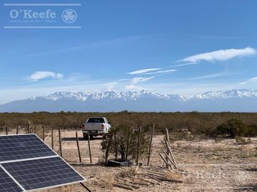 Campo en venta 1400 has en fracciones Zapata, Mendoza. Apto Cultivos Extensivos !!!