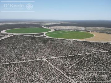 Campo en venta 1400 has en fracciones Zapata, Mendoza. Apto Cultivos Extensivos !!!