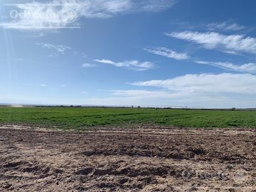 Campo en venta 1400 has en fracciones Zapata, Mendoza. Apto Cultivos Extensivos !!!