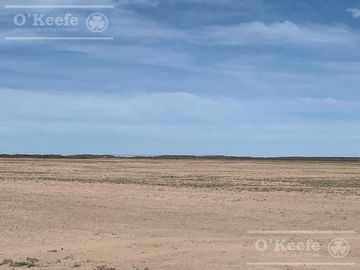 Campo en venta 1400 has en fracciones Zapata, Mendoza. Apto Cultivos Extensivos !!!