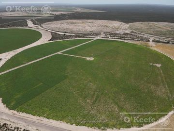 Campo en venta 1400 has en fracciones Zapata, Mendoza. Apto Cultivos Extensivos !!!