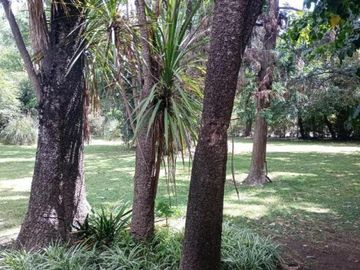 Quinta en venta - 4 Dormitorios 3 Baños - 2.304Mts2 - Virrey del Pino