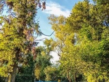 Quinta en venta - 4 Dormitorios 3 Baños - 2.304Mts2 - Virrey del Pino
