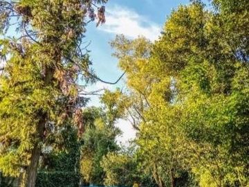 Quinta en venta - 4 Dormitorios 3 Baños - 2.304Mts2 - Virrey del Pino