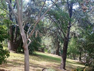 Quinta en venta - 4 Dormitorios 3 Baños - 2.304Mts2 - Virrey del Pino
