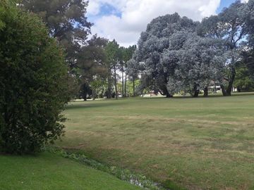 Casa en excelente estado, con un lote al Golf único de 930 m² con 40 mts de frente