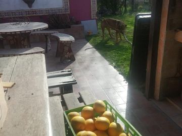Casa en venta - 1 Dormitorio 1 Baño - 2.315Mts2 - Exaltación de La Cruz