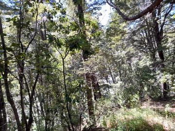 Chacra en  Mallín Ahogado