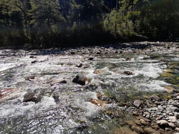 Chacra en  Mallín Ahogado
