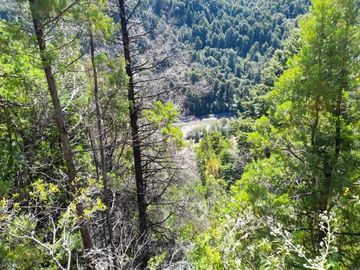 Chacra en  Mallín Ahogado